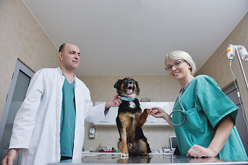 Image showing veterinarian and assistant in a small animal clinic