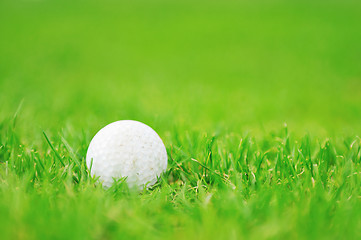 Image showing golf ball game