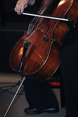 Image showing classical music bass instrument player