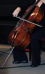 Image showing classical music bass instrument player