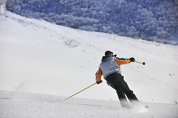 Image showing skier free ride 