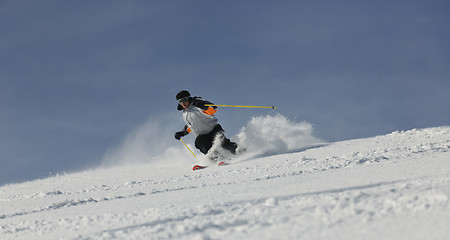 Image showing skier free ride 