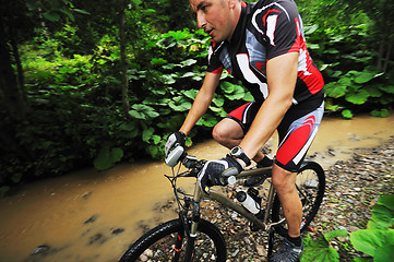 Image showing wet mount bike ride