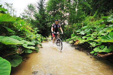 Image showing wet mount bike ride