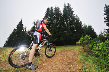 Image showing mountain bike outdoor ride 