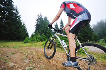 Image showing mountain bike outdoor ride 