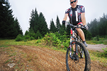 Image showing mountain bike outdoor ride 