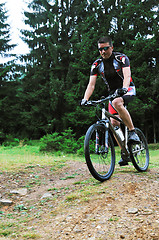 Image showing mountain bike outdoor ride 