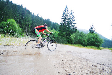 Image showing wet mount bike ride