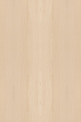 Image showing wood Texture