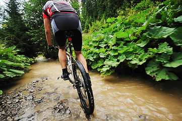 Image showing wetmtb