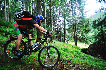 Image showing  mount bike man outdoor