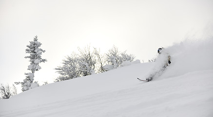 Image showing freestyle snowboarder