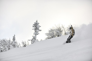 Image showing freestyle snowboarder