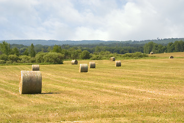 Image showing Large Round Bales