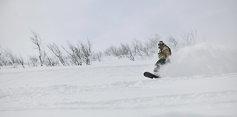 Image showing freestyle snowboarder