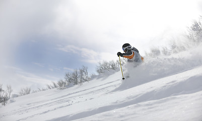 Image showing ski freeride