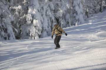 Image showing freestyle snowboarder jump and ride