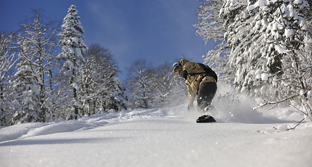 Image showing freestyle snowboarder jump and ride