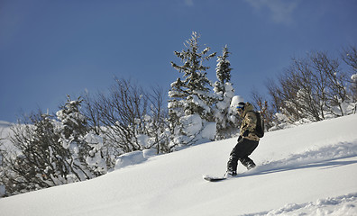 Image showing freestyle snowboarder jump and ride