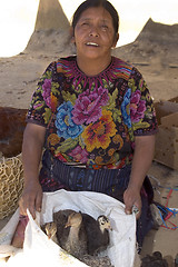 Image showing fowl vendor guatemala