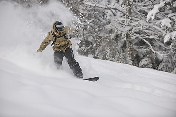 Image showing freestyle snowboarder