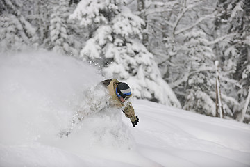 Image showing freestyle snowboarder