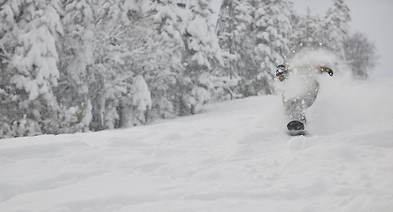 Image showing freestyle snowboarder