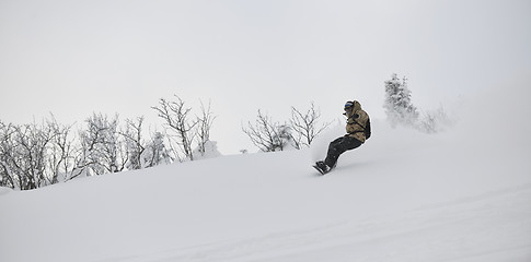 Image showing freestyle snowboarder