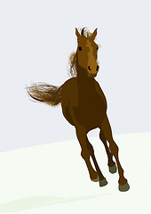 Image showing race-horse