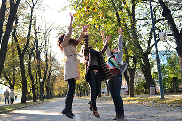 Image showing Three young ladies enjoying themselves