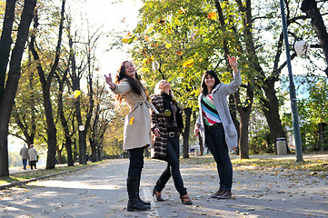 Image showing Three young ladies enjoying themselves