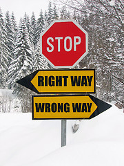 Image showing right and wrong way road sign in nature