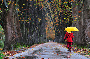 Image showing people walking in long alley at fall autumn sesson 