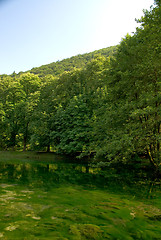 Image showing lake in pure nature