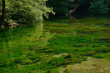 Image showing lake in pure nature