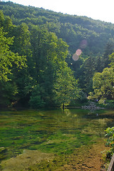 Image showing lake in pure nature