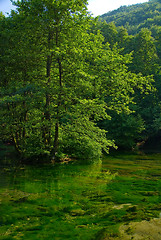 Image showing lake in pure nature