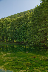 Image showing lake in pure nature