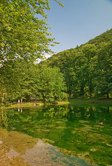 Image showing lake in pure nature