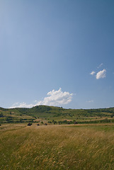 Image showing summer landscape