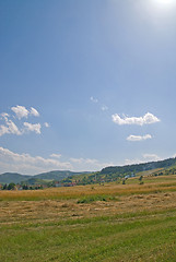 Image showing summer landscape