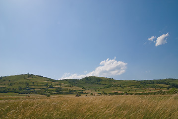 Image showing summer landscape