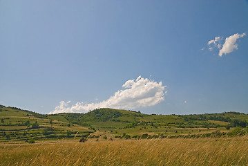 Image showing summer landscape