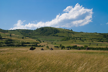 Image showing summer landscape