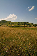 Image showing summer landscape