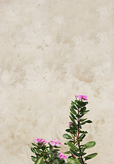 Image showing Pink flowers - copy space