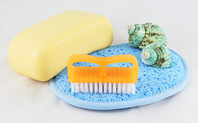 Image showing Soap, brush and cloth