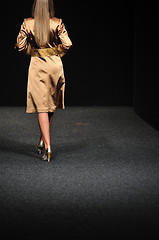 Image showing fashion show woman