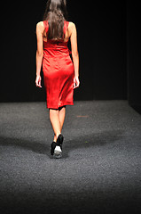 Image showing fashion show woman